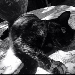 Meet your Posher, Crystal